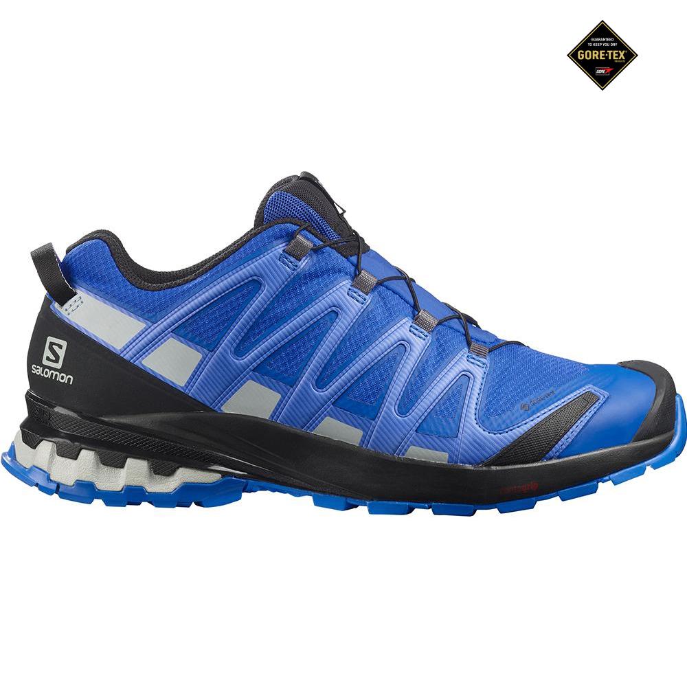 Buty Do Biegania W Terenie Męskie Salomon XA PRO 3D V8 GORE-TEX - Granatowe - Polska (730-ZVWAQY)